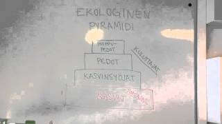 Ekologinen pyramidi [upl. by Neiviv]