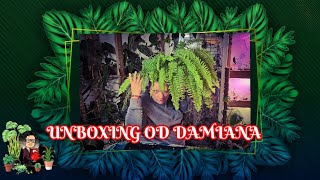 UNBOXING OD DAMIANA Z KANAŁU💚💚💚💚💚 ZIELONE OKNO 💚💚💚💚💚 [upl. by Lachus]