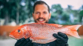 Fresh Caught Whole Red Snapper On The Grill [upl. by Giddings401]