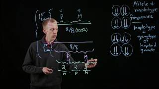 Allele and Haplotype Frequencies [upl. by Nivaj788]