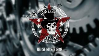 Walda Gang  Asi se mi stejska Official Audio [upl. by Ereveniug]