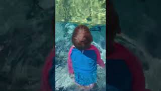 Twins Water Familiarisation swimmingpool pool swimming babyswimming waterplay [upl. by Wells32]