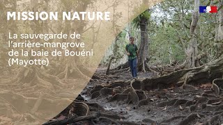 Mission nature  la sauvegarde de larrièremangrove de la baie de Bouéni Mayotte [upl. by Initsed]