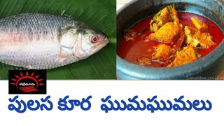 పులస కూర  pulasa curry [upl. by Reagen736]