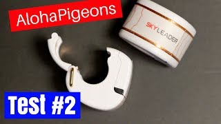 2nd SKYLEADER GPS Homing Racing Pigeon Test [upl. by Bremble]