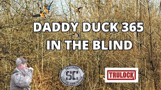 Daddy Duck 365 Live  In The Blind [upl. by Naujid]