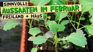 Sinnvolle Aussaaten im Februar für deinen Selbstversorger Gemüsegarten  Im Haus und im Freiland [upl. by Tezile183]