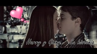 Harry y Ginny  Su Historia [upl. by Aicatsanna]