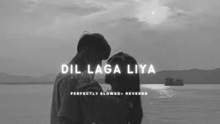 Dil LAGA LIYA PERFECTLY SLOWED reverb [upl. by Robina]