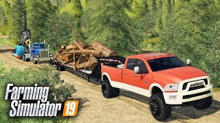 FS19 LOGGING ON quotGRIZZLY MOUNTAINquot MAP SEARCHING FOR THE BEST TIMBER  EP 1 [upl. by Alic697]