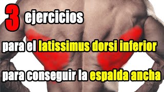 Los 3 mejores ejercicios del dorsal ancho inferior para una espalda más voluminosa [upl. by Munster]