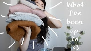 What Ive been up to this past month  knitting vlog [upl. by Nassir638]