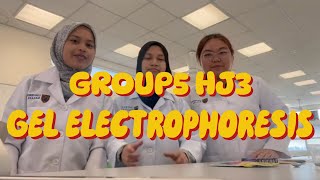 GEL ELECTROPHORESIS EXPERIMENT by GROUP5 HJ3 PASUM [upl. by Cir737]