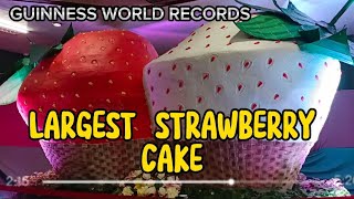 GUINNESS WORLD RECORDS LARGEST STRAWBERRY CAKE  Strawberry festival 2023 [upl. by Lamahj692]