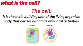 GRADE 6SCIENCESTERM 12025CONCEPT11LESSON 1THE CELL AS A SYSTEMساينس سته الترم الاول 2025درس1 [upl. by Winifred217]