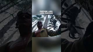 DISERANG LABA LABA RAKSASA shortfilm [upl. by Alleras]