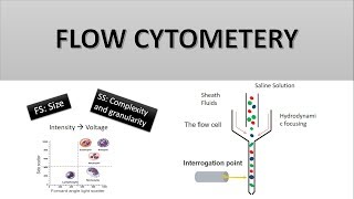 The Principle of Flow Cytometry and FACS 1 Flow Cytometry [upl. by Idham]