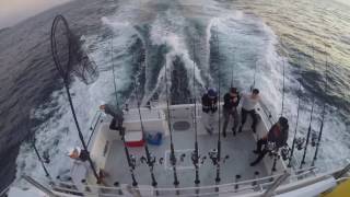 Flathead Fishing off Sydney [upl. by Bari]