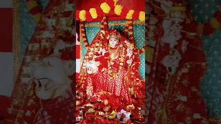 Bhojpuri hit  Bhojpuri trending songs Navaratri status bhojpuri new 2024 song viral viral video [upl. by Ennaesor207]