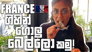 France ගිහින් ගොලුබෙල්ලො කමු 🐌 LEscargot Montorgueil [upl. by Haimrej617]