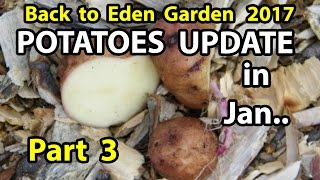 Back to Eden Organic Gardening Method 101 Soil Improvement with Wood Chips Garden Series Part 3 [upl. by Lulu]