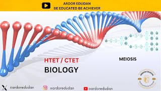 MEIOSIS  STAGES OF MEIOSIS  HTET TGT SCIENCE  CTET LEVEL 2  BIOLOGY  DSSSB SCIENCE [upl. by Harrison]