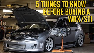 5 Things You Need to Know Before Buying a Subaru WRX or STI [upl. by Schulein]