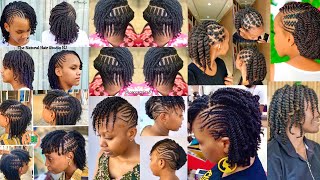 Natural Hair Twist Styles  Twist Hairstyles for Natural [upl. by Harberd]