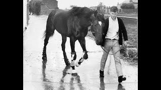 Rain Lover  Won the Melbourne Cup Twice in 196869 [upl. by Hildagarde732]