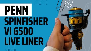 Penn Spinfisher VI 6500 Live Liner  Unboxing  Live footage [upl. by Fairley]