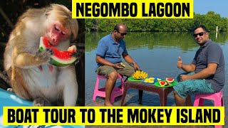 Negombo Lagoon Boat Tour to The Monkey Island [upl. by Wetzel]