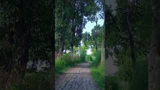 Bucolic way of village viralvideo nature village [upl. by Asli]