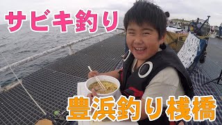 【豊浜釣り桟橋でサビキ釣り】水中映像有釣り海釣りファミリーフィッシング豊浜漁港豊浜釣り桟橋サビキ [upl. by Abehs837]