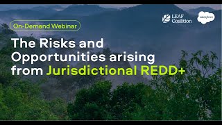 The Risks and Opportunities Arising from Jurisdictional REDD [upl. by Hekker]