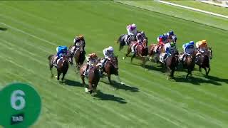 2024 VRC FLEMINGTON Newmarket Handicap [upl. by Anaeel]