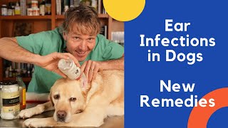 Dog Ear Infection Treated With Natural Remedies [upl. by Deering]