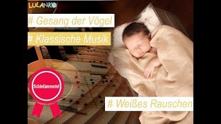 Friedliche klassische Musik für Babys zum Schlafen Tiefschlafmusik für Ihr Baby 1 Stunde 🤍 [upl. by Lanevuj]