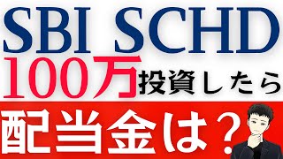 【SBI・SCHD】新NISAで１００万円を一括投資！配当金は？ [upl. by Peregrine]