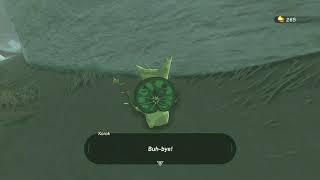 Korok seeds  Lanayru Range  Hateno Tower 42  Zelda BOTW [upl. by Rolfston510]