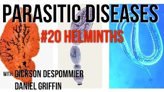 Parasitic Diseases Lectures 20 Helminths [upl. by Ibmab]