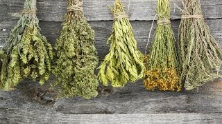 How to Dry Herbs [upl. by Chenee135]