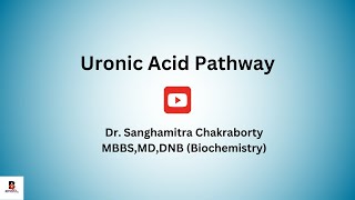 11Uronic acid pathway I Essential Pentosuria medicalbiochemistry uronicacidpathway [upl. by Alyahsal62]