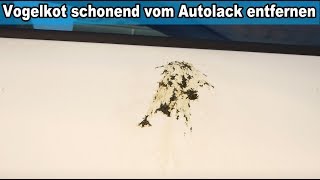 Eingetrockneten eingebrannten Vogelkot vom Auto Lack entfernen Anleitung Autolack Vogelkotentferner [upl. by Abernon860]