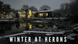 Winter at Herons Bonsai [upl. by Enirual]