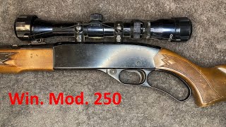 Winchester Model 250  Conservation [upl. by Aimekahs]