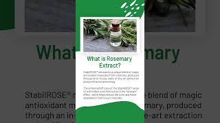 StabilROSE ® Rosemary Extract Manufacturer [upl. by Marguerita380]