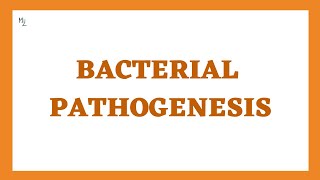 Bacterial Pathogenesis Stages Determinants and Virulence  This is How Bacteria Cause Damage [upl. by Akcire]