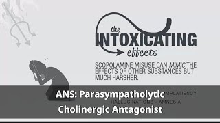 9ANS Parasympatholytic Drugs Cholinergic antagonist Atropine الادوية المثبطة لجارالسيمبثاوي [upl. by Hotchkiss]