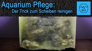 Günstiger Trick zum Aquarium Scheiben reinigen  Tipps und Tricks zur Aquariumpflege [upl. by Tamqrah]