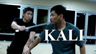 KALI  ARNIS  ESKRIMA  FILIPINO MARTIAL ARTS [upl. by Enniotna]